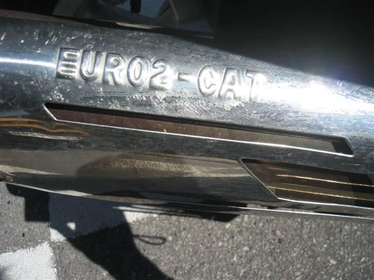 CPI (før jeg kneppede den) billede 5