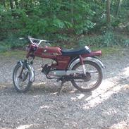 Puch Grand Prix N 50 4gear