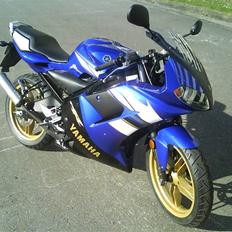 Yamaha  tzr  45 2008 modelen