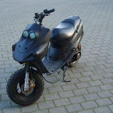 Adly falcon bytte