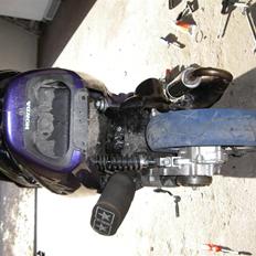 Honda SFX Evo&Yasuni  SOLGT