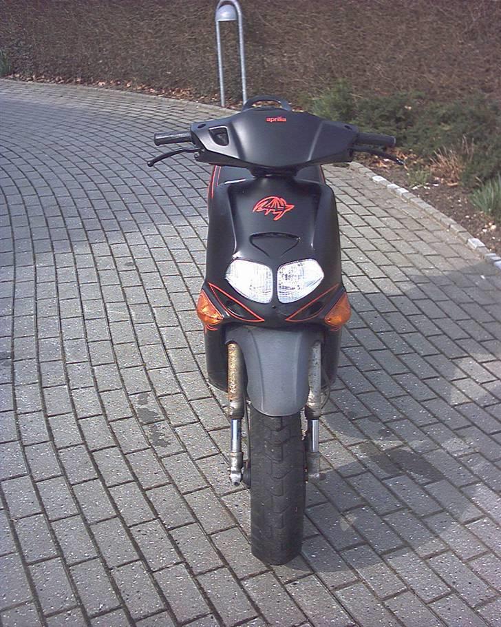 Aprilia Rally  (Solgt) billede 2
