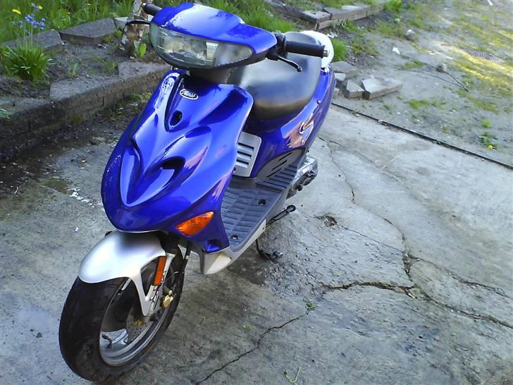 Adly silverfox solgt billede 13