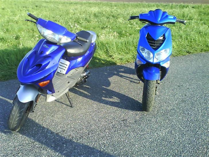 Adly silverfox solgt billede 15