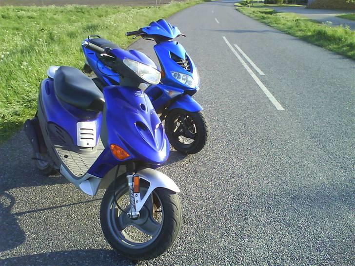 Adly silverfox solgt billede 16