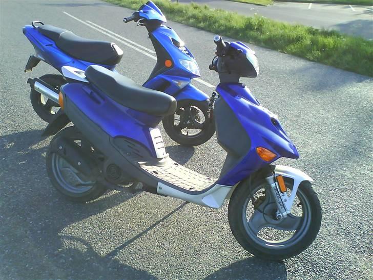 Adly silverfox solgt billede 17