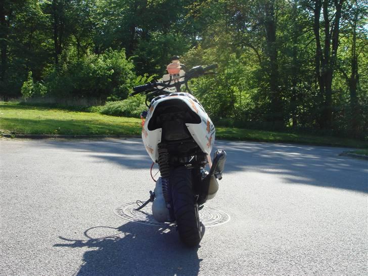 Aprilia Sonic H20 SOLGT billede 4