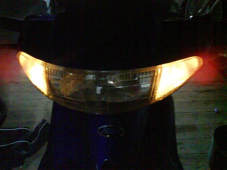 Adly silverfox solgt billede 18