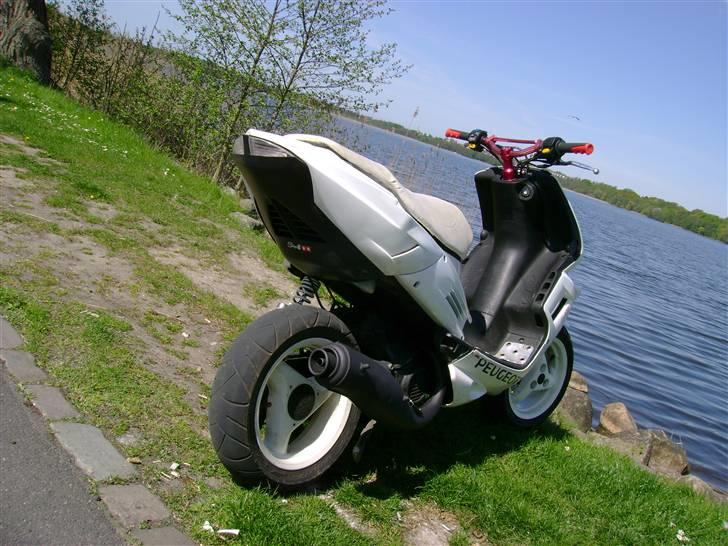 Peugeot speedfight 206 WRC (solgt billede 1