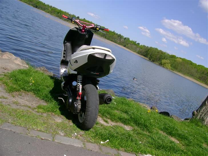 Peugeot speedfight 206 WRC (solgt billede 5