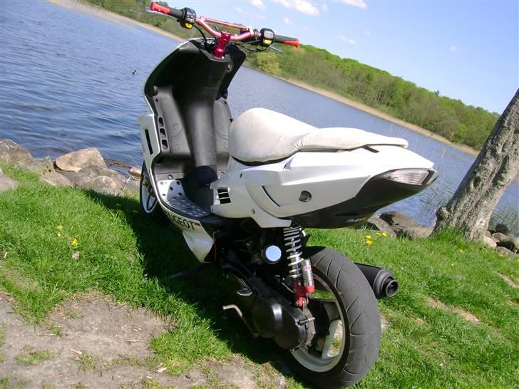 Peugeot speedfight 206 WRC (solgt billede 6