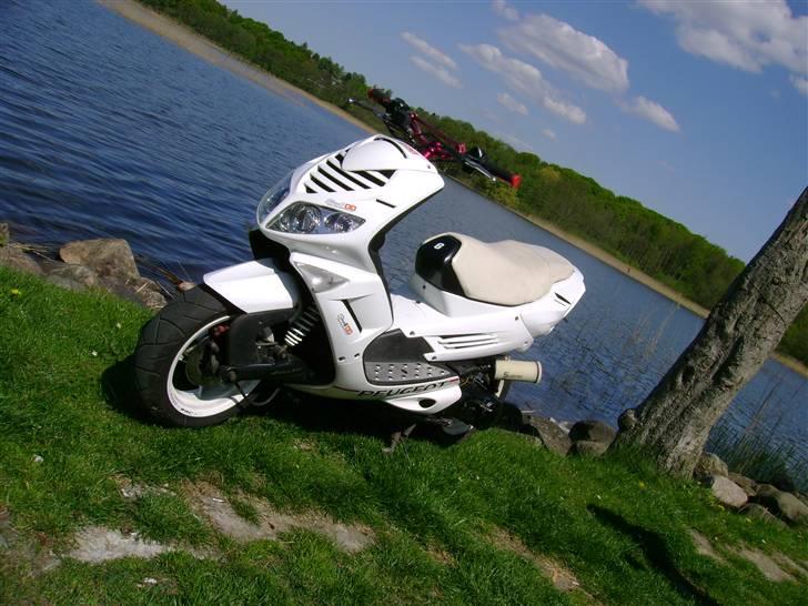 Peugeot speedfight 206 WRC (solgt billede 7