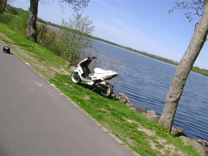 Peugeot speedfight 206 WRC (solgt billede 11