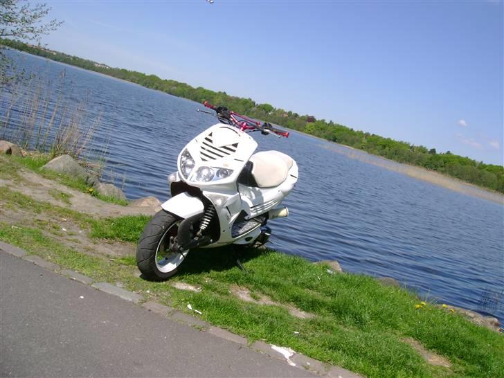 Peugeot speedfight 206 WRC (solgt billede 12