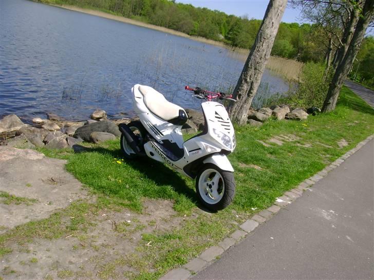 Peugeot speedfight 206 WRC (solgt billede 13