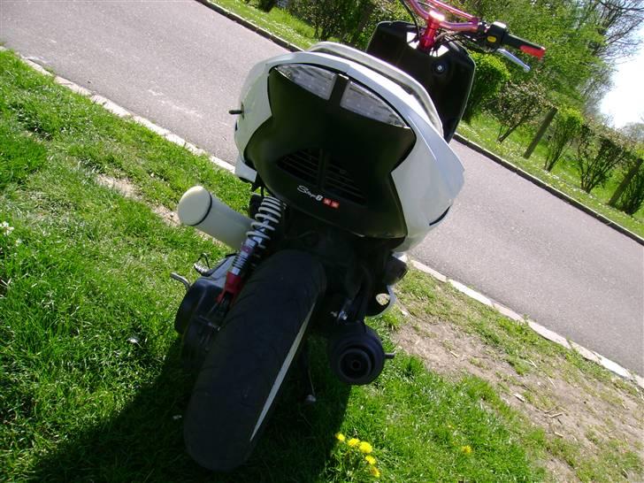 Peugeot speedfight 206 WRC (solgt billede 15