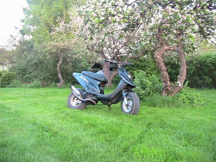 PGO Hot 50 ** Solgt ** billede 8