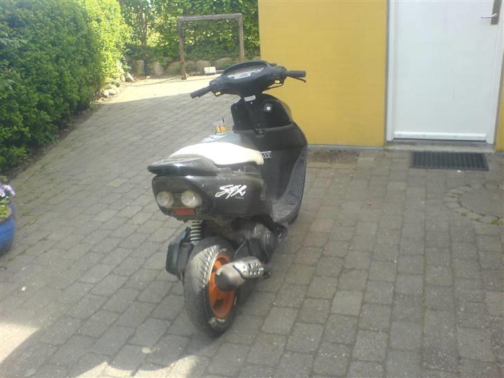 Honda SFX   SOLGT billede 5