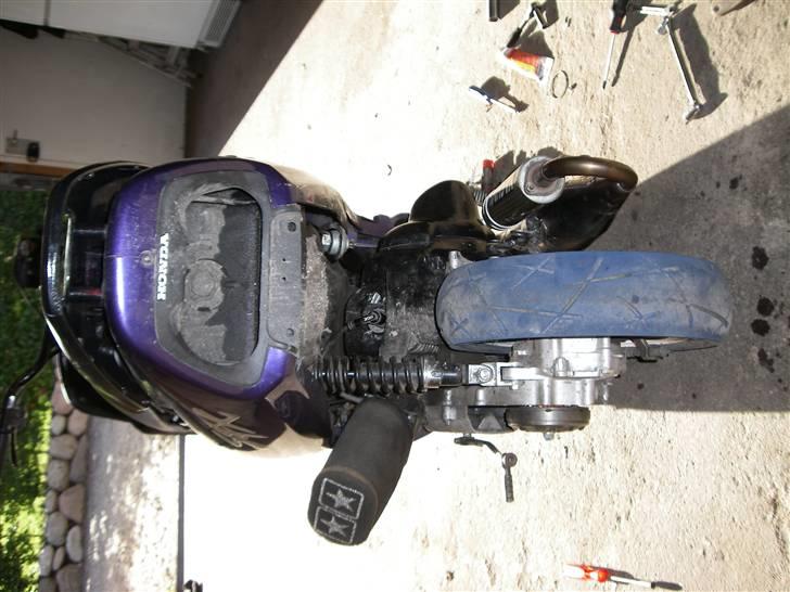 Honda SFX Evo&Yasuni  SOLGT billede 3