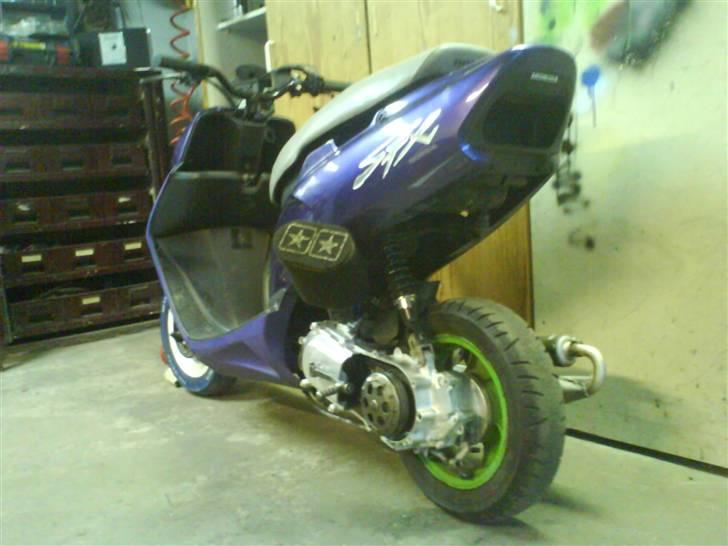 Honda SFX Evo&Yasuni  SOLGT billede 4