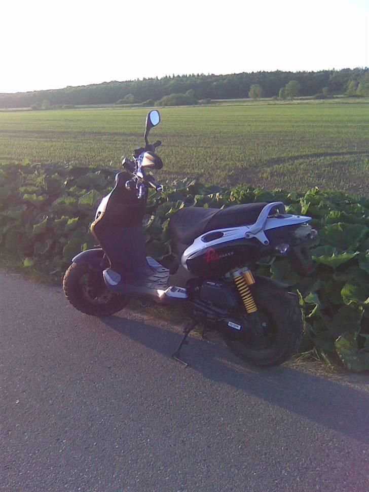 PGO PMX Naked billede 2