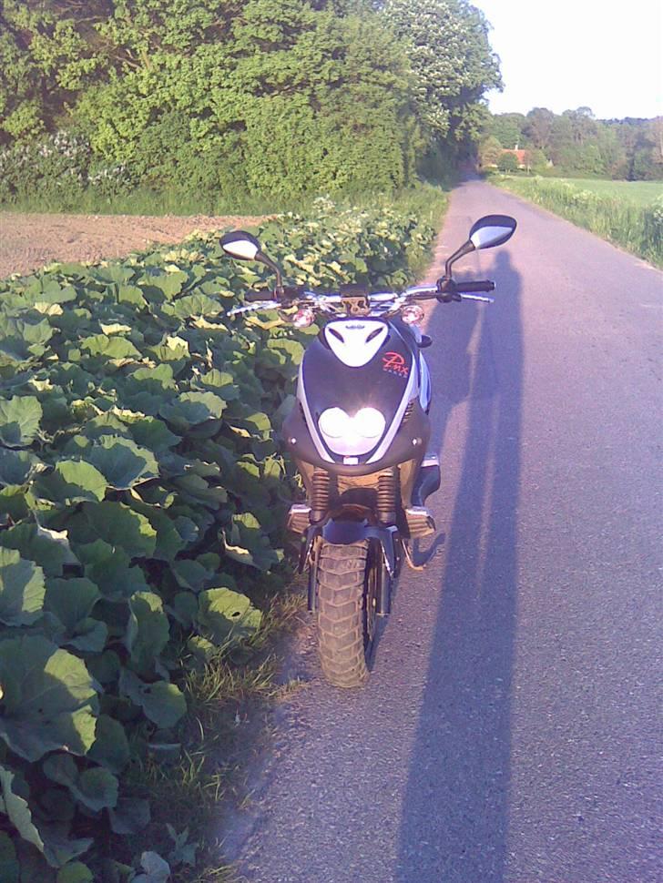 PGO PMX Naked billede 3