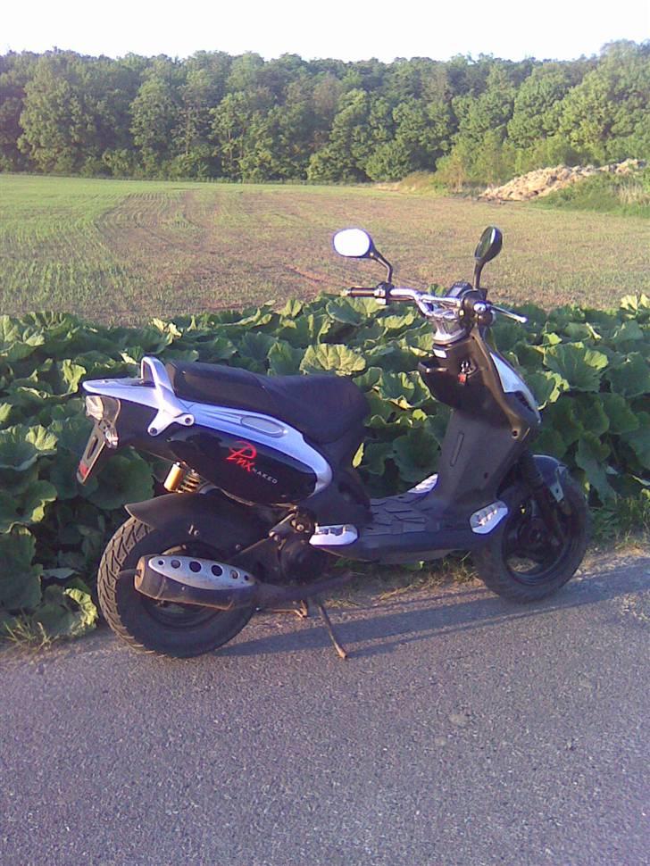 PGO PMX Naked billede 4