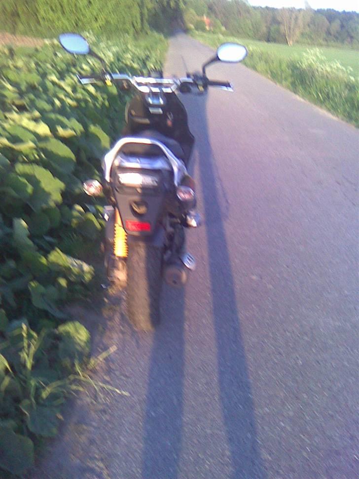 PGO PMX Naked billede 5