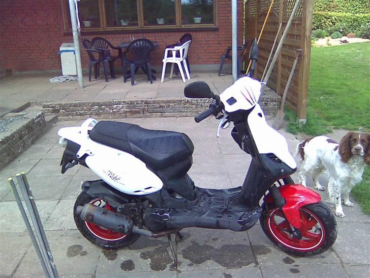 PGO pmx no fear billede 3