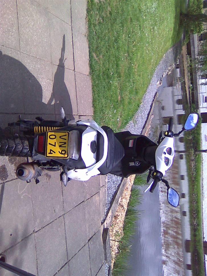 PGO pmx no fear billede 4