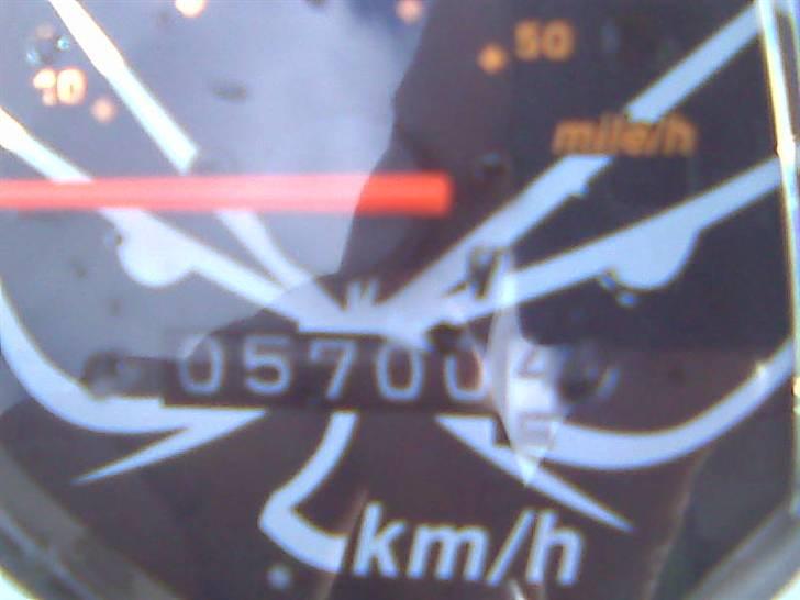 PGO pmx no fear billede 6