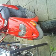 Gilera Stalker *Dorthe* -BYTTET-