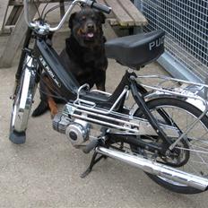 Puch maxi E50 k 