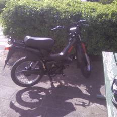 Yamaha Sting SOLGT 