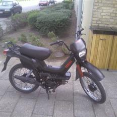 Yamaha Sting SOLGT 