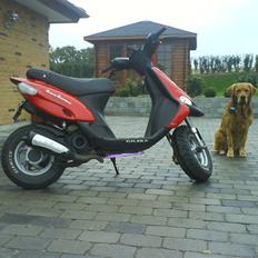 Gilera Stalker Byttet