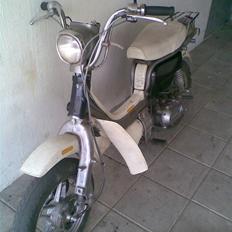 Suzuki FZ50 ( SOLGT )