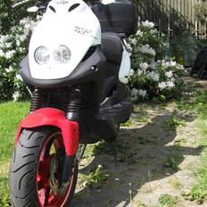 PGO PMX PMMS No Fear ## SOLGT