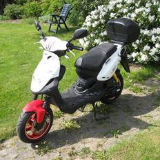 PGO PMX PMMS No Fear ## SOLGT