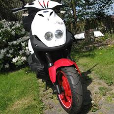 PGO PMX PMMS No Fear ## SOLGT