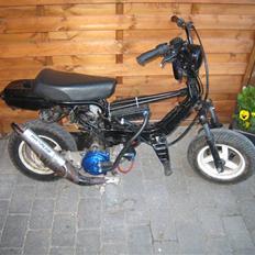 Suzuki FZ50 SOLGT