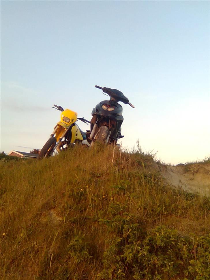 CPI oliver city billede 16