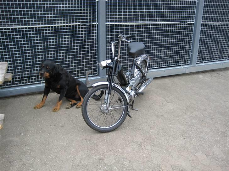 Puch maxi E50 k  billede 1