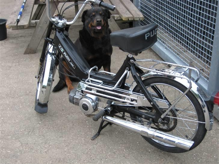 Puch maxi E50 k  billede 2