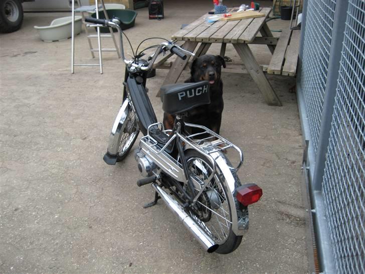 Puch maxi E50 k  billede 4