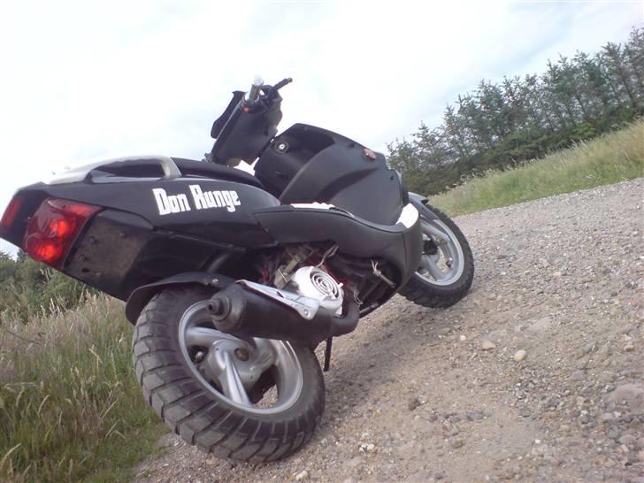 PGO Dr. Big - Black & White billede 11