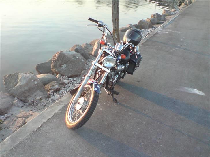 Regal Raptor (USA) [SOLGT] billede 12