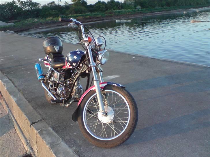 Regal Raptor (USA) [SOLGT] billede 13