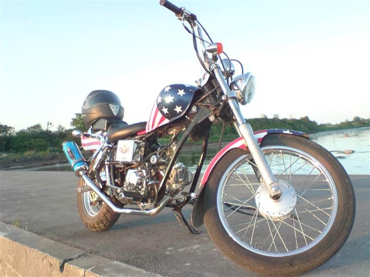 Regal Raptor (USA) [SOLGT] billede 14