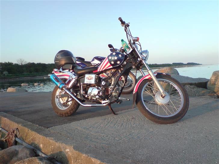 Regal Raptor (USA) [SOLGT] billede 15